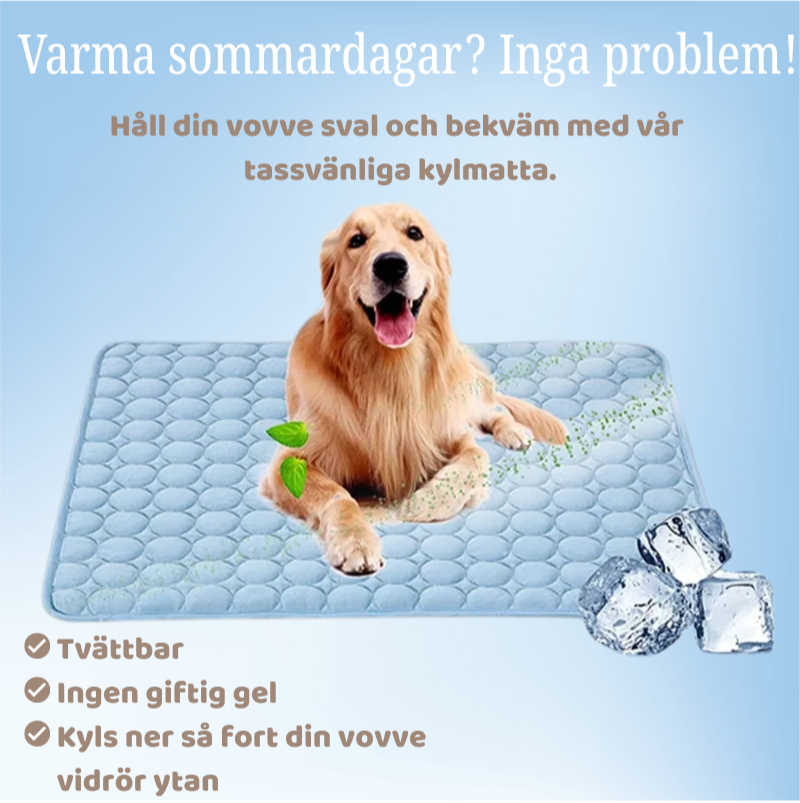 Kylmatta