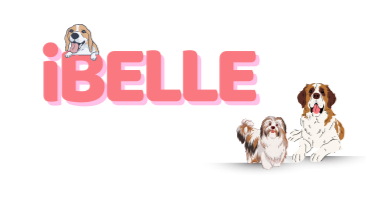 iBELLE