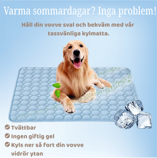 Kylmatta
